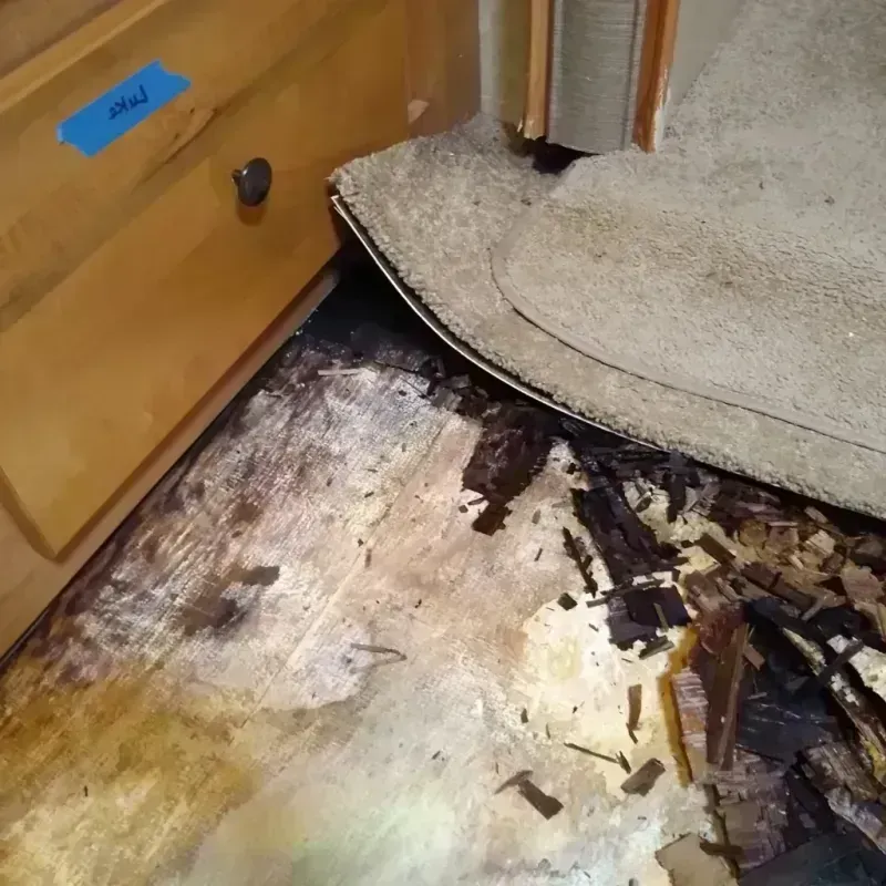 Wood Floor Water Damage in Homer, LA